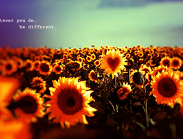 在线电话轰炸软件